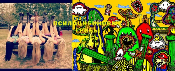 дмт Зеленодольск