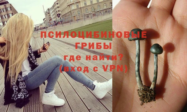 дмт Зеленодольск