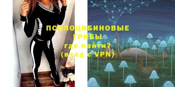 дмт Зеленодольск