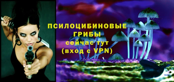 дмт Зеленодольск
