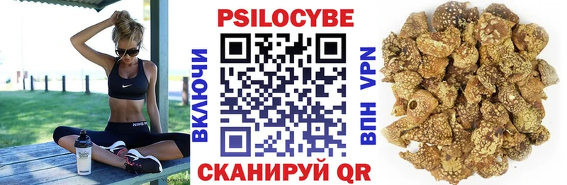 Купить закладки  Магадан  Галлюциногенные грибы Magic Shrooms 
